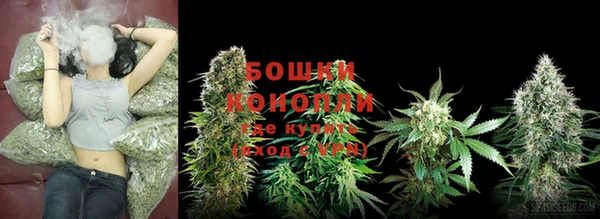 МДПВ Михайлов